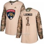 Camiseta Hockey Florida Panthers 1 Roberto Luongo Camuflaje Autentico 2017 Dia De Los Veteranos Stitched
